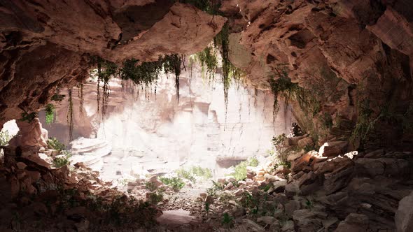 Inside a Limestone Cave with Plants and Sun Shine