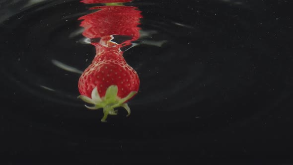 Fresh Strawberry Fruit Dropped Into Water Shot in Super Slow Motion