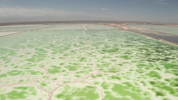 The green saline lake, natural lake background.