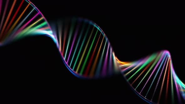 DNA Genetic Code Colorful