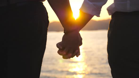 Silhouette of Male and Female Hands Holding Each Other at Sunset Against an Sea Background. Young