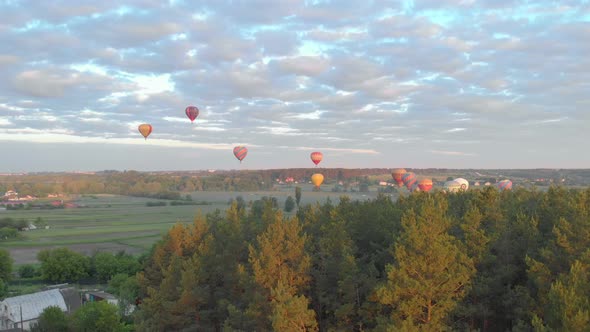 Balloons Over The Forest