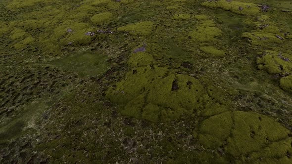 Aerial View of Mossy Lava Field in Iceland