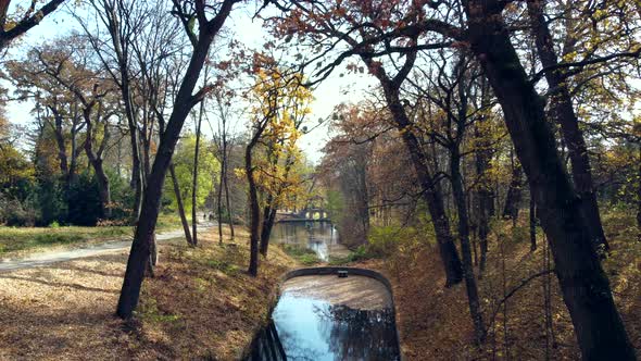 Aerial Drone View Flight Through Tree Branches in Park with Lakes Architecture