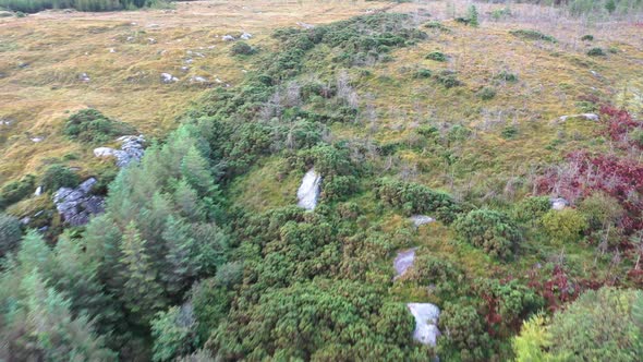 Flying Over Forest in County Donegal - Ireland