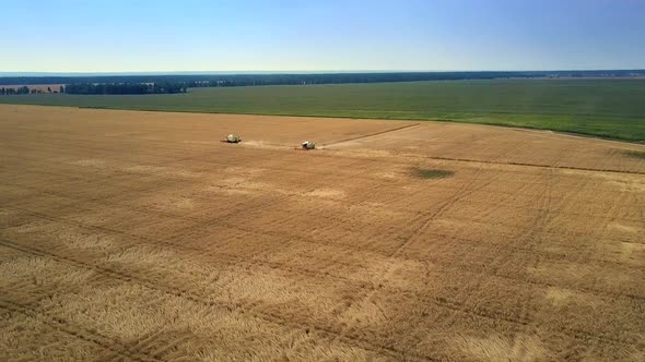 Aerial View Boundless Yellow Green Fields with Combines