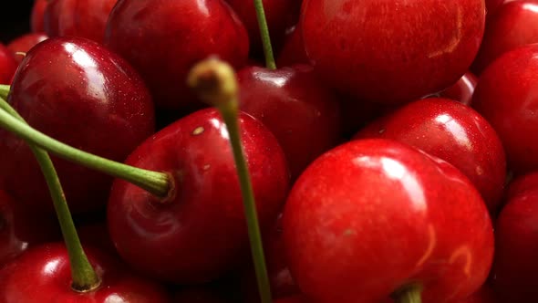 Ripe Sweet Cherry Ready For Use.