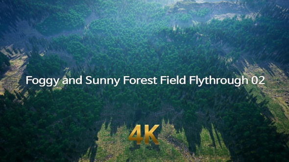 Foggy and Sunny Forest Flythrough 4K 03