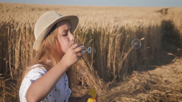 Little Girl Blowing Soap Bubbles in Wheat Field at Sunset Time. Slow Motion Video.