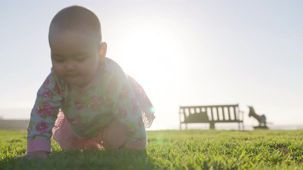 Happy Baby Crawls in the Grass