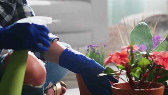 Young Woman Is Taking Care of Potted Plants