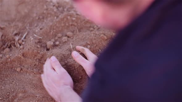 Farmer Examining Organic Soil in Hands, Farmer Touching Dirt in Agriculture Field