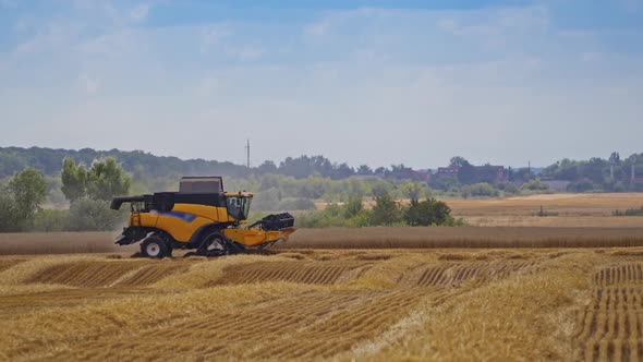Modern combine harvester on the field. 