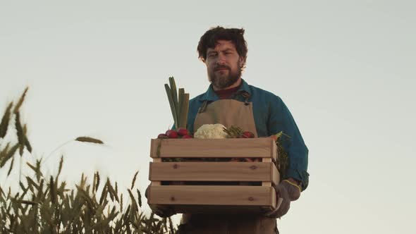 Handsome Male Farmer Carrying Box of Vegetables