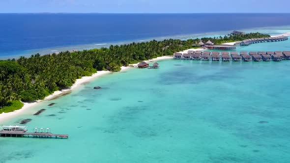 Aerial drone seascape of coastline beach wildlife by blue ocean with sand background