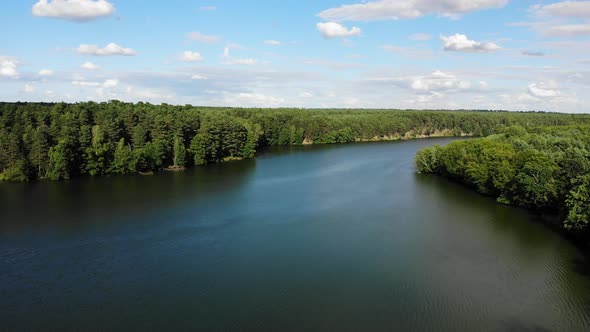 Lake and Green Forest. Aerial View.