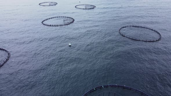 Aerial Aquaculture Fish Farms witn fish hatchery in sea