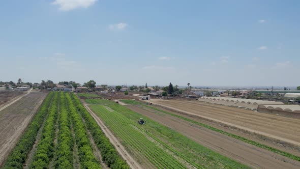 Tractor at Cabbage Field at Sdot Negev Israel