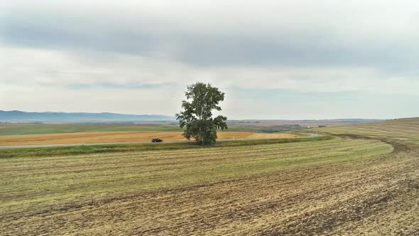 road between the autumn fields