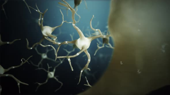 Loop Neuron Cells Connections World