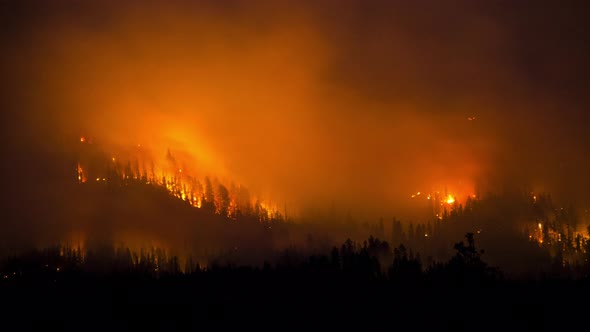 Forest Fire Timelapse