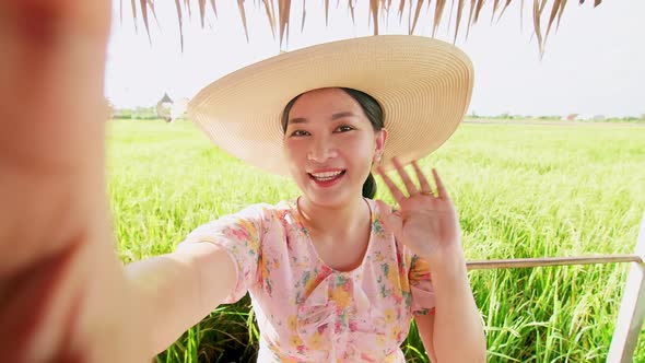 Adult woman making video call showing large rice production field.