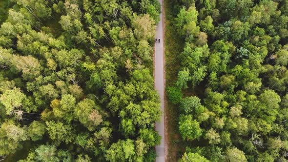 AERIAL: Tilting Shot of Two Cyclists Riding on a Asphalt Road Through the Forest