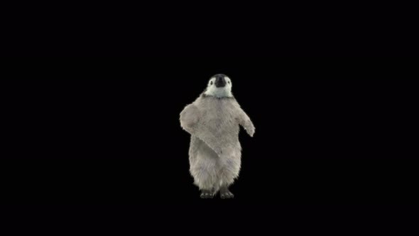 Penguin Dancing 4K