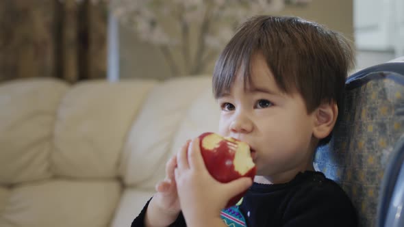 Twoyearold Kid Eats a Big Red Apple