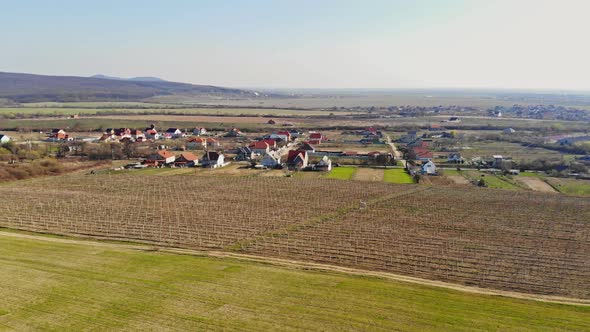 Aerial Drone Panorama of Vineyard and Agricultural Fields in Ukraine Zakarpattya