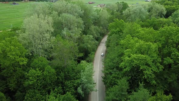 Aerial Top Down  View of White Car Driving on Rural Road in Forest