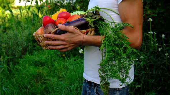 A Man Holds Vegetables in the Hands of the Harvest