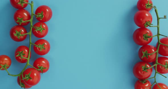 Video of fresh cherry tomatoes with copy space on blue background