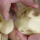 Hands Cut the Rotten Potatoes While Peeling - VideoHive Item for Sale