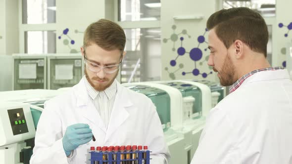 Colleagues in the Laboratory Discuss the Results of Their Activities