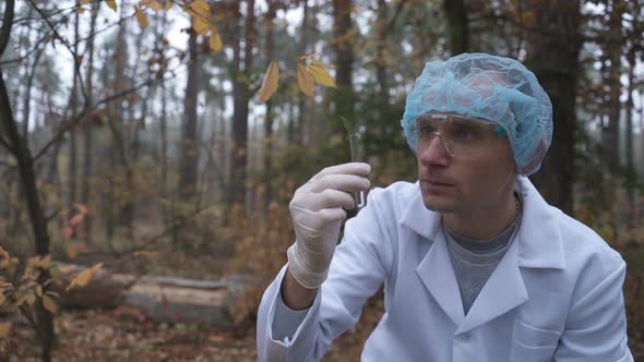 In the Forest, an Ecologist Takes Samples of Plants and Puts Them in a Test Tube alt