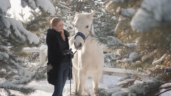 Smilling Adorable Blonde Strokes and Feeds Her Hands a Beautiful White Horse on a Snowy Country