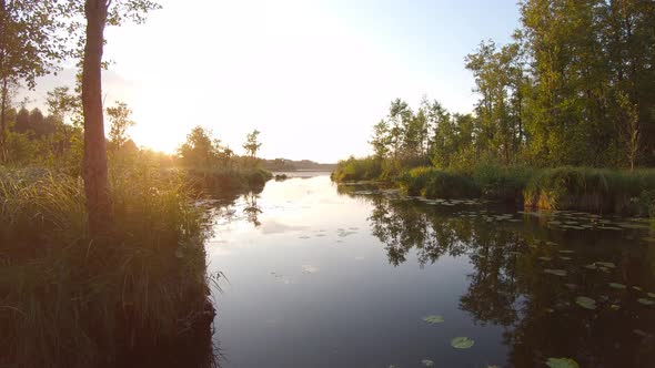 Forest lake at sunset