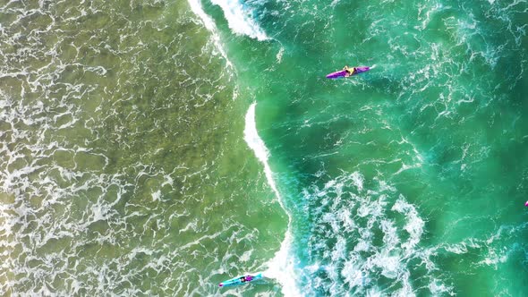 Aerial view of Surf Lifesaver trainees, Queensland, Australia.