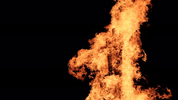 Big Bonfire Burns at Night in Slow Motion on a Black Background on Nature