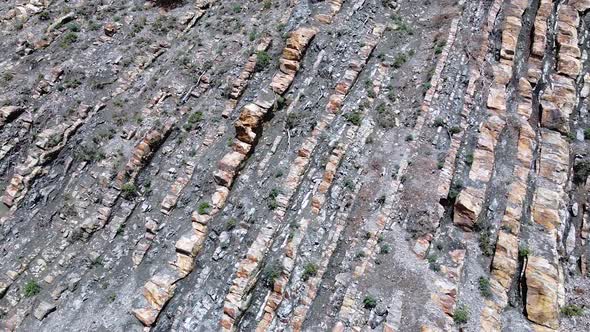 Pine trees grow on the rock. Layered rock formation, geological rock