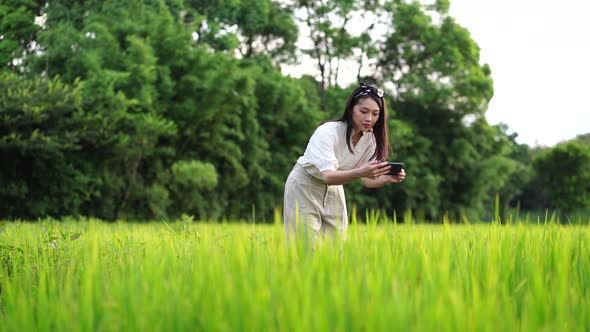 Ethnic woman with smartphone in lush field