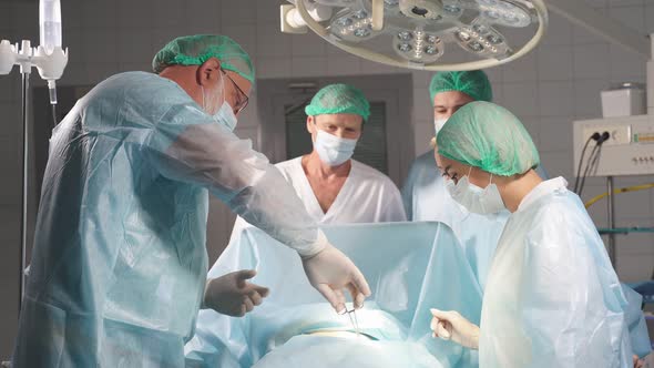 Hardworking Team of Surgeons at Work in Operating Room. Profession, Occupation Concept.