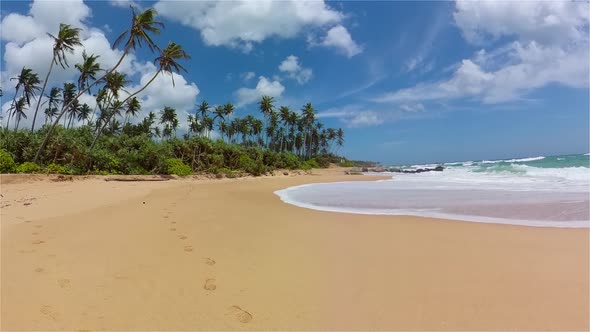 Tropical Landscape with a Beautiful Beach