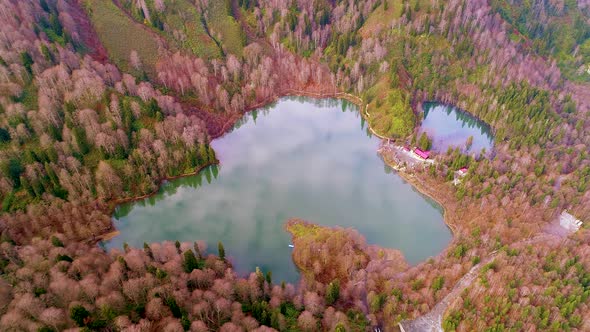 Super Colorful Lake