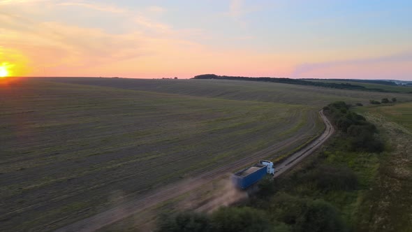 Aerial View of Cargo Truck Driving on Dirt Road Between Agricultural Wheat Fields Making Lot of Dust