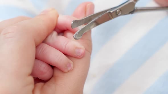 Closeup of Cutting Baby Fingernails with Scissors