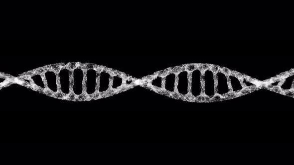 DNA molecule is spinning on a black background. Genetic engineering and biology. Gene animation