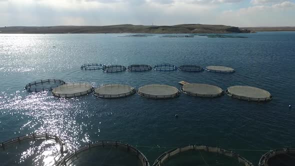 Fish Breeding Farm.