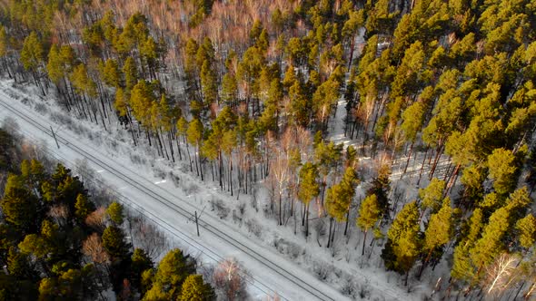 Aerial View of the Winter Forest. Winter Landscape, Forest, Snow. Aerial Photography, Video. Forest